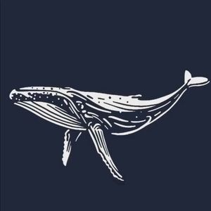 Meet your Posher, Karla